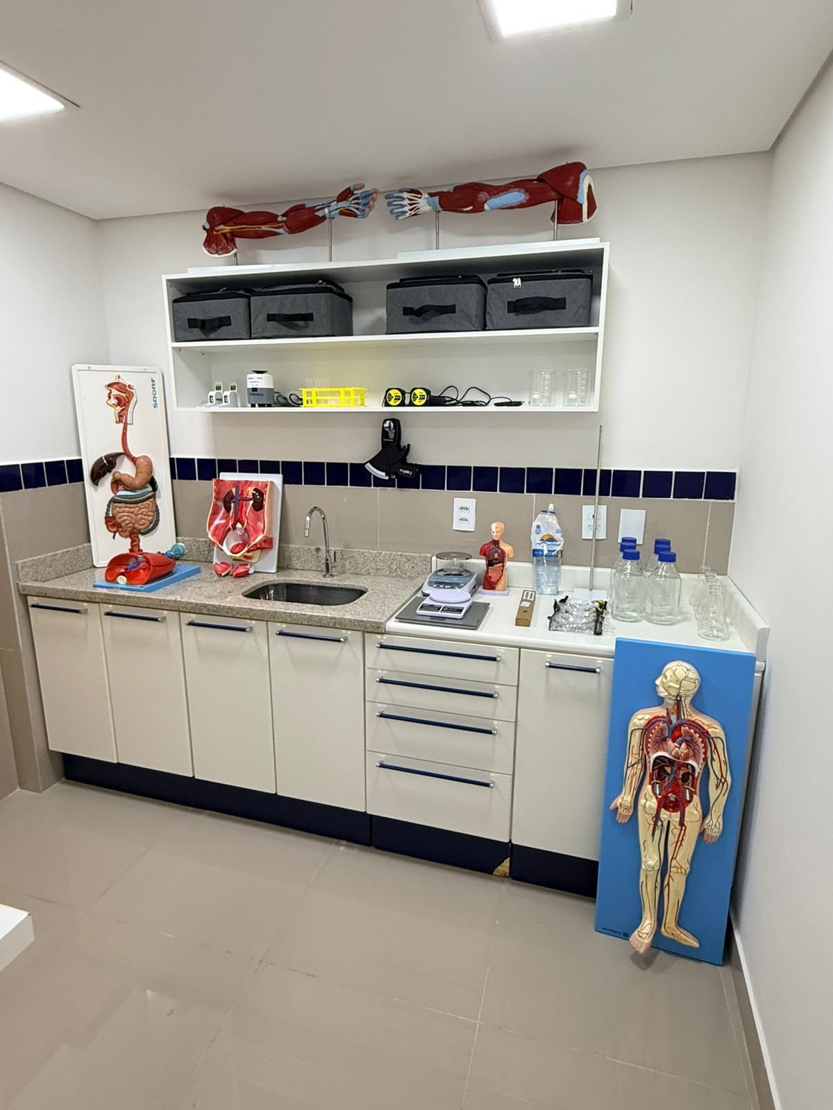 Estrutura UniFECAF 3